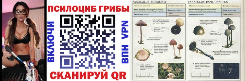 Купить Урай Псилоцибиновые грибы GOLDEN TEACHER
